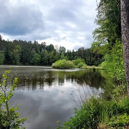 Haus Waldviertel Am Herrensee ليتشاو