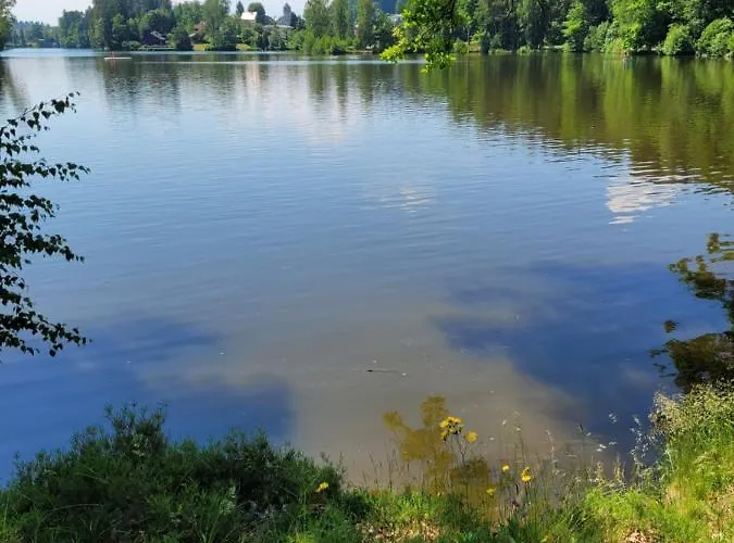 Haus Waldviertel Am Herrensee شقة ليتشاو